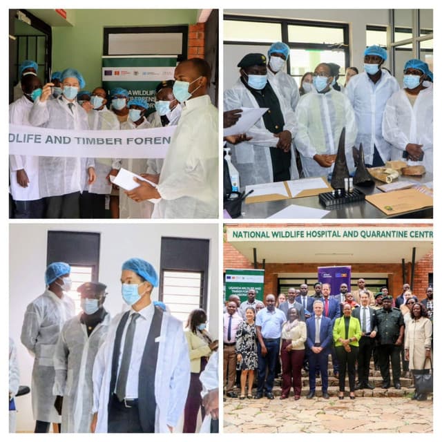 Uganda Opens Wildlife Forensics Laboratory to Strengthen Fight Against Environmental Crime