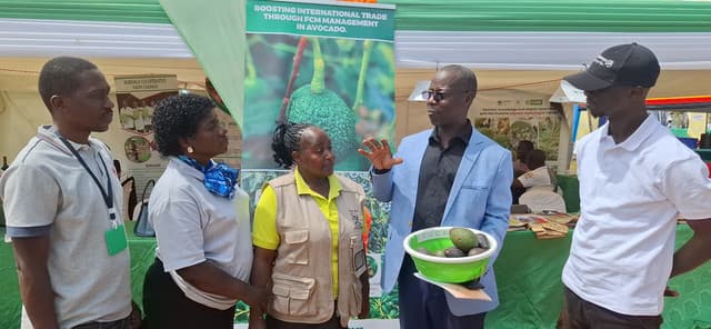 How CABI is Preparing Ugandan Farmers for Global Trade