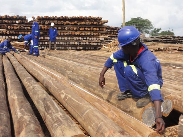 FAO launches Business Development Support Programme to strengthen Competitiveness of Uganda’s wood-based enterprises