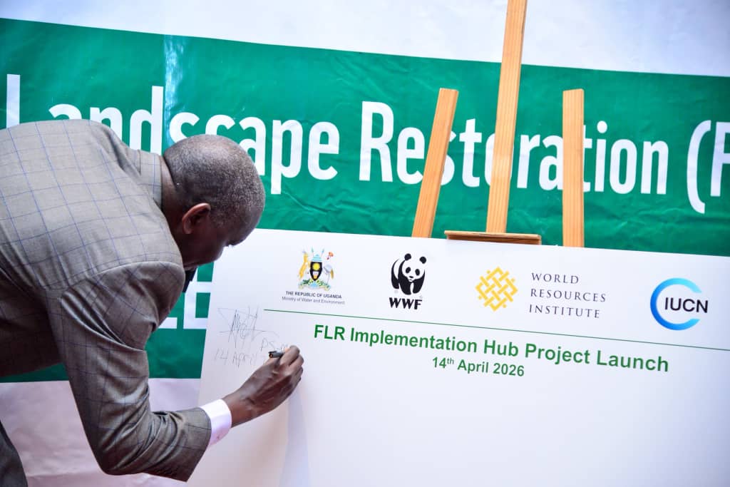 Uganda Launches Forest Restoration Hub to Reclaim 200,000 Hectares and Boost Climate Action